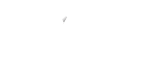 Virtuous Enterprises logo wordmark